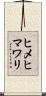ヒメヒマワリ Scroll