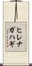 ヒレナガハギ Scroll
