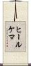 ヒールケマ Scroll