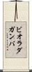 ビオラ・ダ・ガンバ Scroll