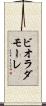 ビオラダモーレ Scroll