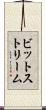 ビットストリーム Scroll