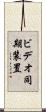 ビデオ同期装置 Scroll