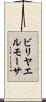 ビリヤエルモーサ Scroll