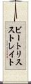 ビートリスストレイト Scroll