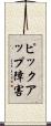 ピックアップ障害 Scroll