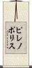 ピレノポリス Scroll