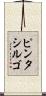 ピンタシルゴ Scroll