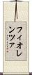 フィオレンツァ Scroll