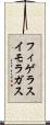 フィゲラスイモラガス Scroll