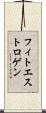 フィトエストロゲン Scroll