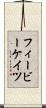 フィービーケイツ Scroll