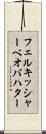 フェルキッシャー・ベオバハター Scroll
