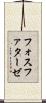 フォスファターゼ Scroll