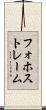 フォホストレーム Scroll