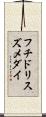 フチドリスズメダイ Scroll
