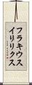 フラキウスイリリクス Scroll