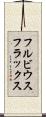 フルビウスフラックス Scroll