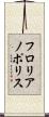 フロリアノポリス Scroll