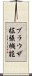 ブラウザ拡張機能 Scroll