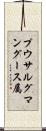 プウサルグマングース属 Scroll