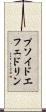 プソイドエフェドリン Scroll