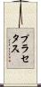 プラセタス Scroll