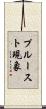 プルースト現象 Scroll