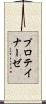 プロテイナーゼ Scroll