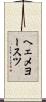 ヘェメヨースツ Scroll
