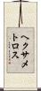 ヘクサメトロス Scroll