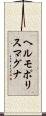 ヘルモポリスマグナ Scroll