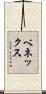 ベネックス Scroll