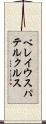 ベレイウスパテルクルス Scroll