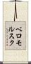 ベロモルスク Scroll