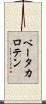 ベータ・カロテン Scroll