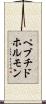 ペプチドホルモン Scroll