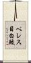 ペレス目白鮫 Scroll