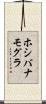 ホシバナモグラ Scroll