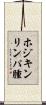 ホジキンリンパ腫 Scroll