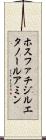 ホスファチジルエタノールアミン Scroll