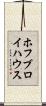 ホフブロイハウス Scroll
