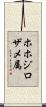 ホホジロザメ属 Scroll