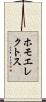 ホモ・エレクトス Scroll