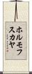 ホルモフスカヤ Scroll