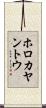 ホロカヤントウ Scroll
