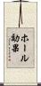ホール効果 Scroll