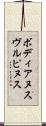 ボディアヌスヴルピヌス Scroll