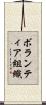 ボランティア組織 Scroll