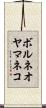 ボルネオヤマネコ Scroll